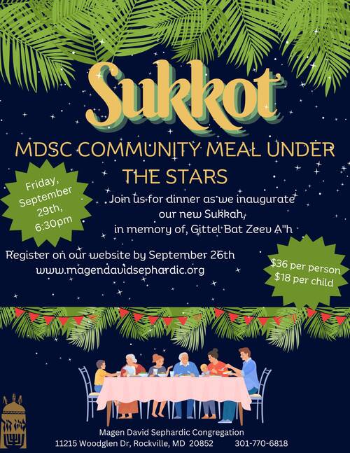 Banner Image for Sukkot Dinner Under The Stars